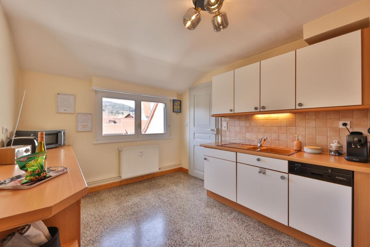 Le Moderne Vintage Hyper Centre,3 Chambres, Neuf Au Calme, 3 Etoiles Munster  Εξωτερικό φωτογραφία